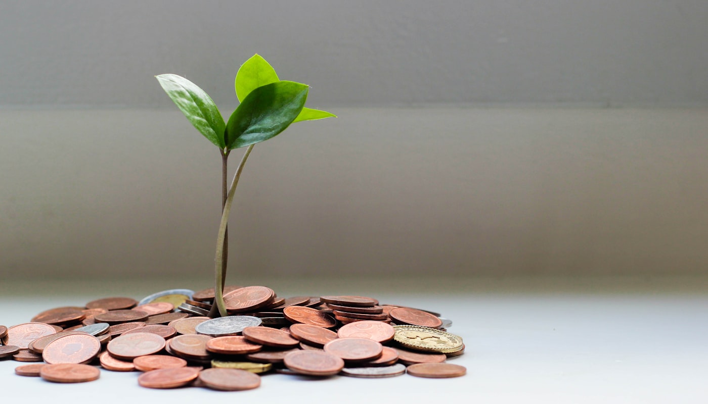 How to Diversify Investments in Worldwide